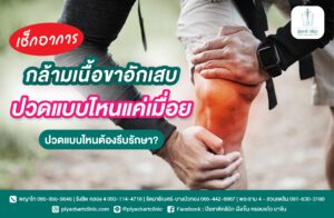 เช็กอาการกล้ามเนื้อขาอักเสบ ปวดแบบไหนแค่เมื่อย ปวดแบบไหนต้องรีบรักษา?